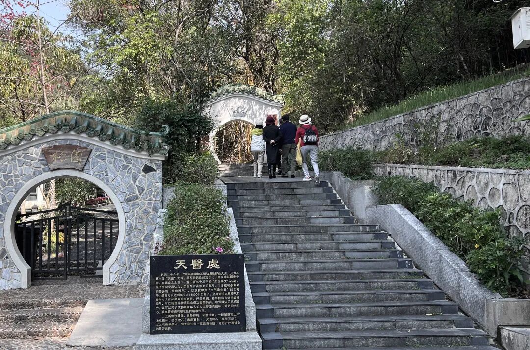 广东温泉宾馆松园一号户外园林景观改造工程丨中国广州-57