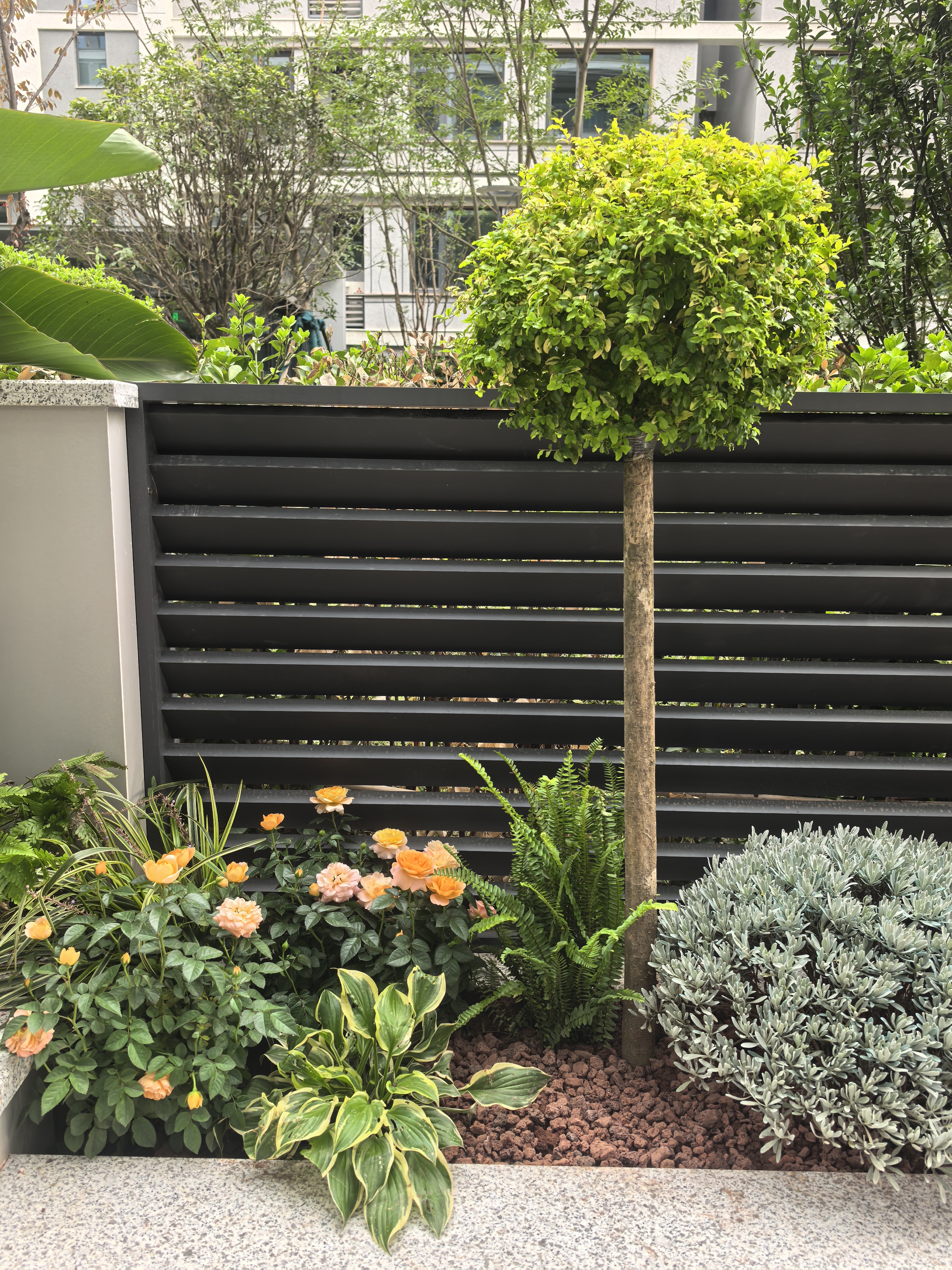 65㎡极简风庭院花园落地效果-16