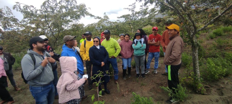 A--D -- Ananda EcoAldea: Creating Sustainable Communities-121