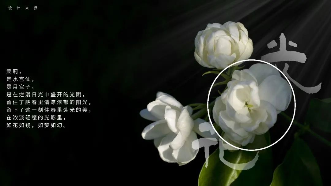 南京龙池映 | 方寸之间,容纳万物之情-68