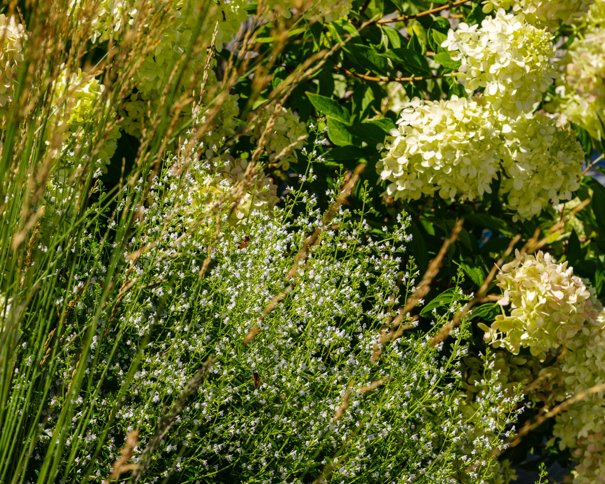 丨美国芝加哥-33