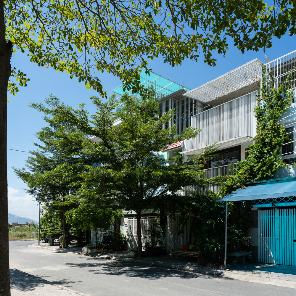 越南三代人记忆中的绿色家园-38