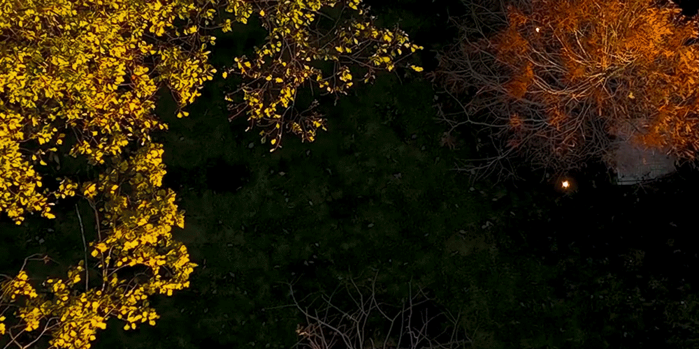 现在就出发!拥抱自由,奔赴理想的度假生活-146