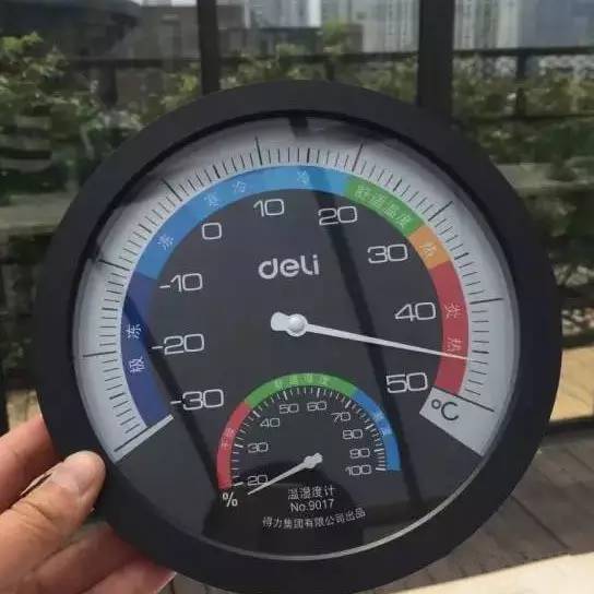 火遍魔都超700㎡网红花园，看过的人都被圈粉-66