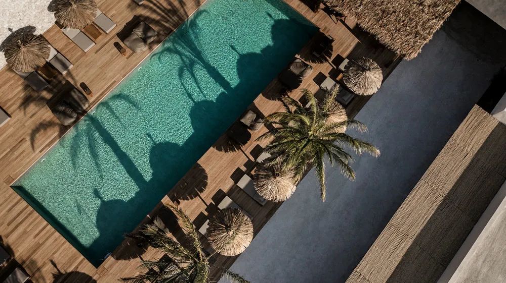 YAPA精品餐厅丨意大利米兰丨Lambs and Lions-206