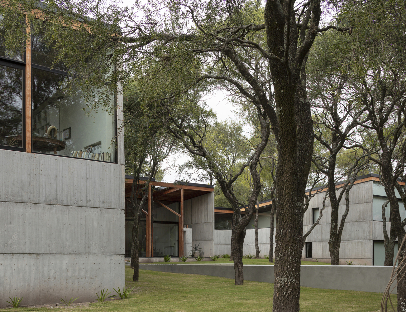 阿根廷丛林中的自然住宅-12