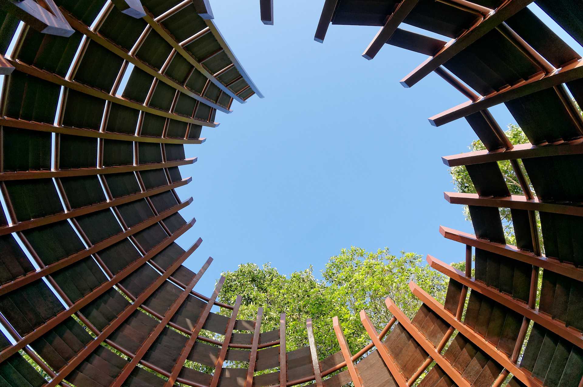 新加坡双溪布洛湿地公园——自然与设计的完美融合-9