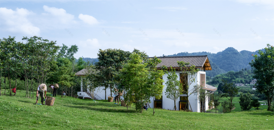 安石乡村书局丨中国宜宾丨锋茂建筑-36