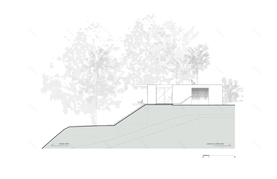 丨哥斯达黎加丨Formafatal-66