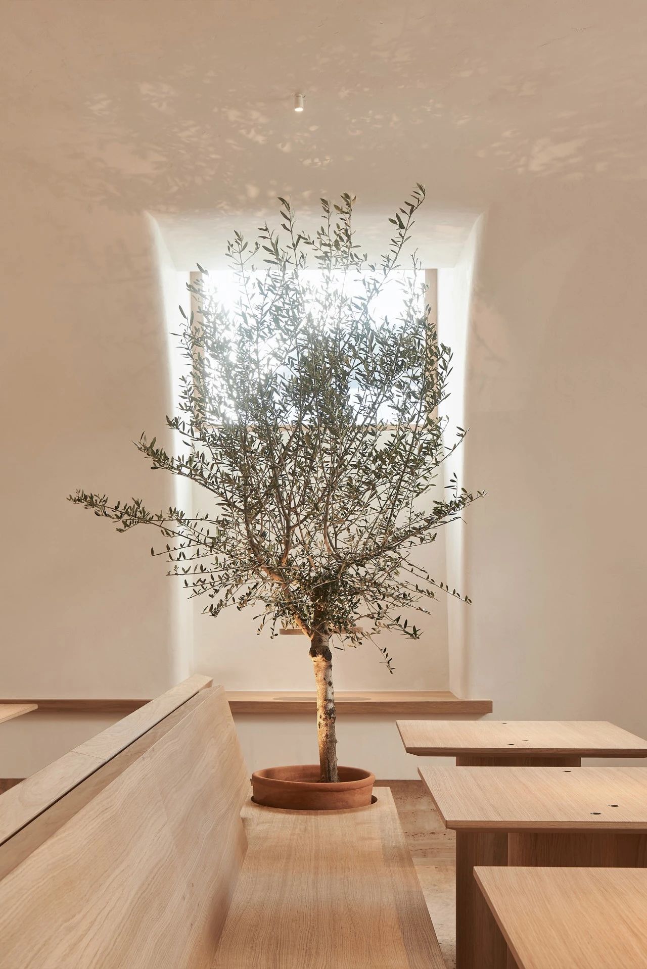 新作丨DA Bureau  内在感知-8