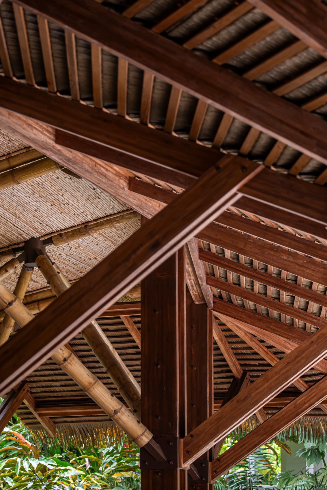 Aguas Claras酒店餐厅和瑜伽馆丨哥斯达黎加丨Studio Saxe-91