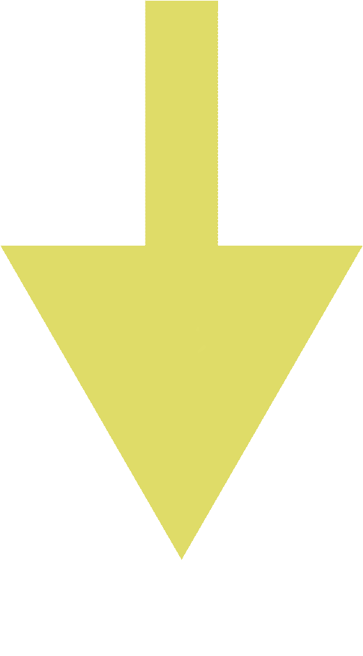 关注|2025年北京市东城区城市更新主题日系列活动走进前门西兴隆街仿古建筑项目-68