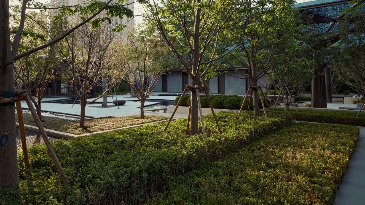  北京未琦建筑景观设计事务所丨沈阳龙湖·云峰原著 示范区 景观建筑设计 丨中国沈阳-49