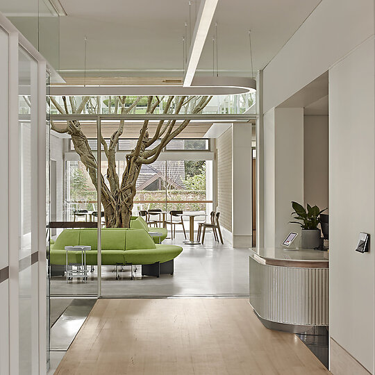 Campbell House by Tonkin Zulaikha Greer | Australian Interior Design Awards-1