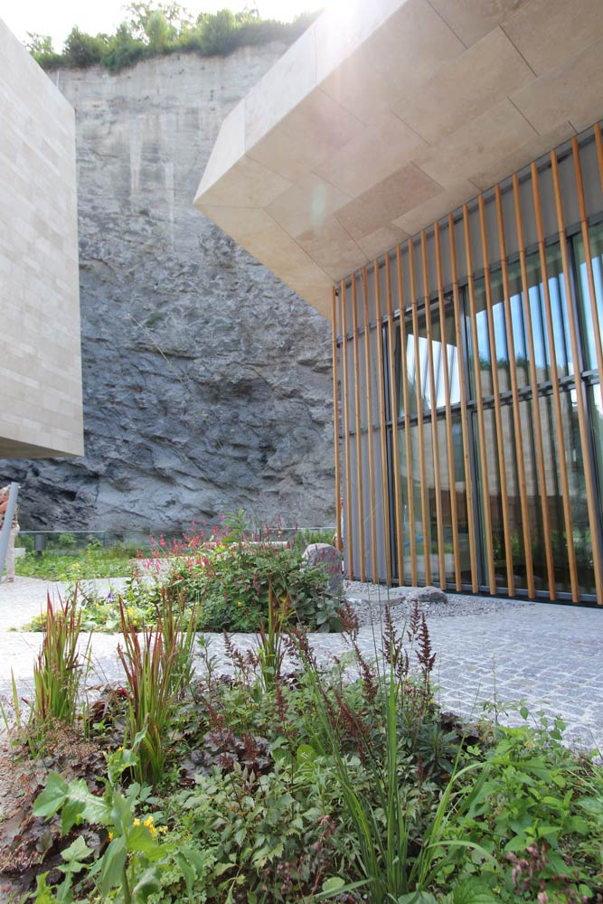 岩石中的城市绿洲-16