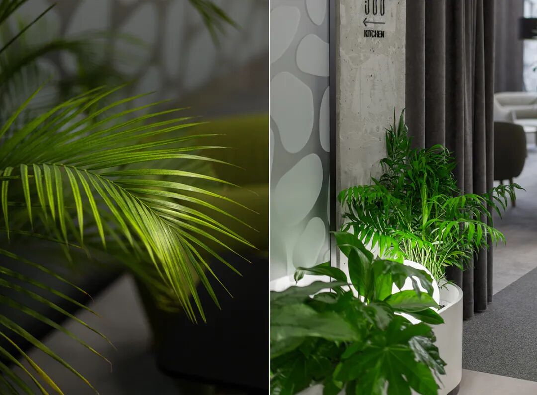 BASF基辅办公室丨乌克兰基辅丨MEYT-42