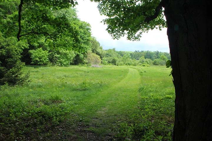 Shirley镇89英亩物业开发规划项目丨美国-7