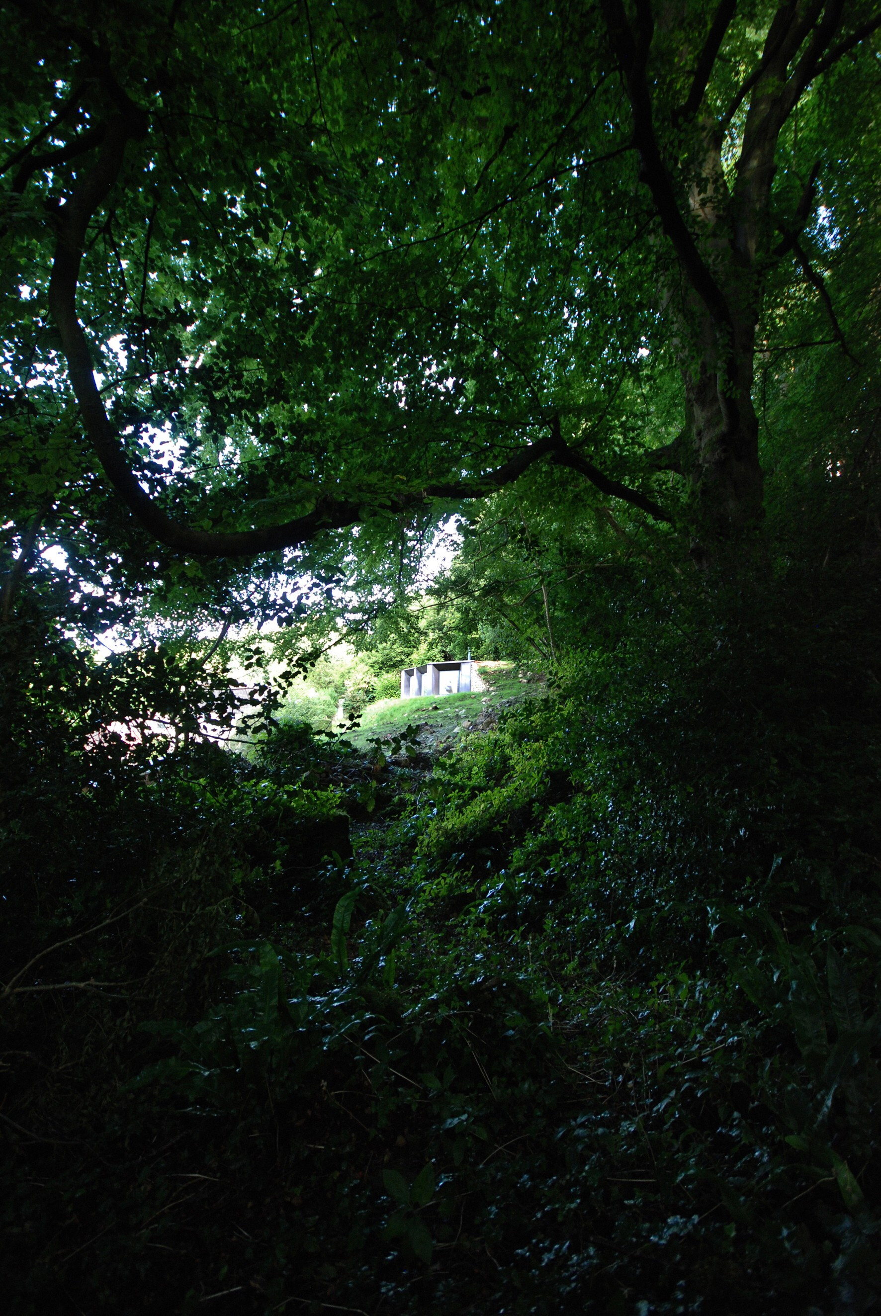 石木设计打造私人花园工作室-5