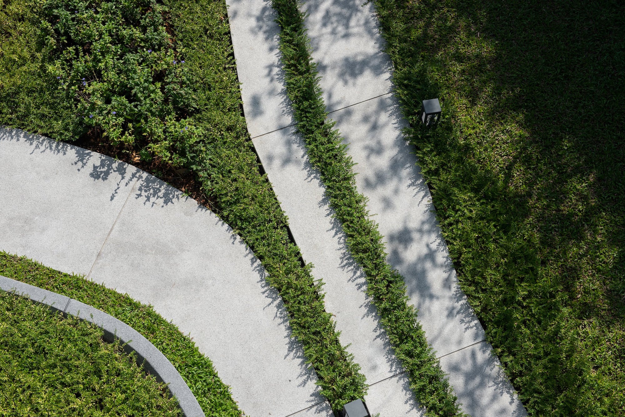 The Line Asoke Ratchada 曼谷高端公寓设计丨泰国曼谷丨Ixora Design Limited-65