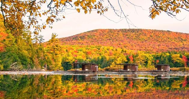 SCDA腾达(注:若SCDA有特定专业含义,仅根据现有信息难以更精准翻译,Tenda常见为腾达品牌名 ) 丨印度-32