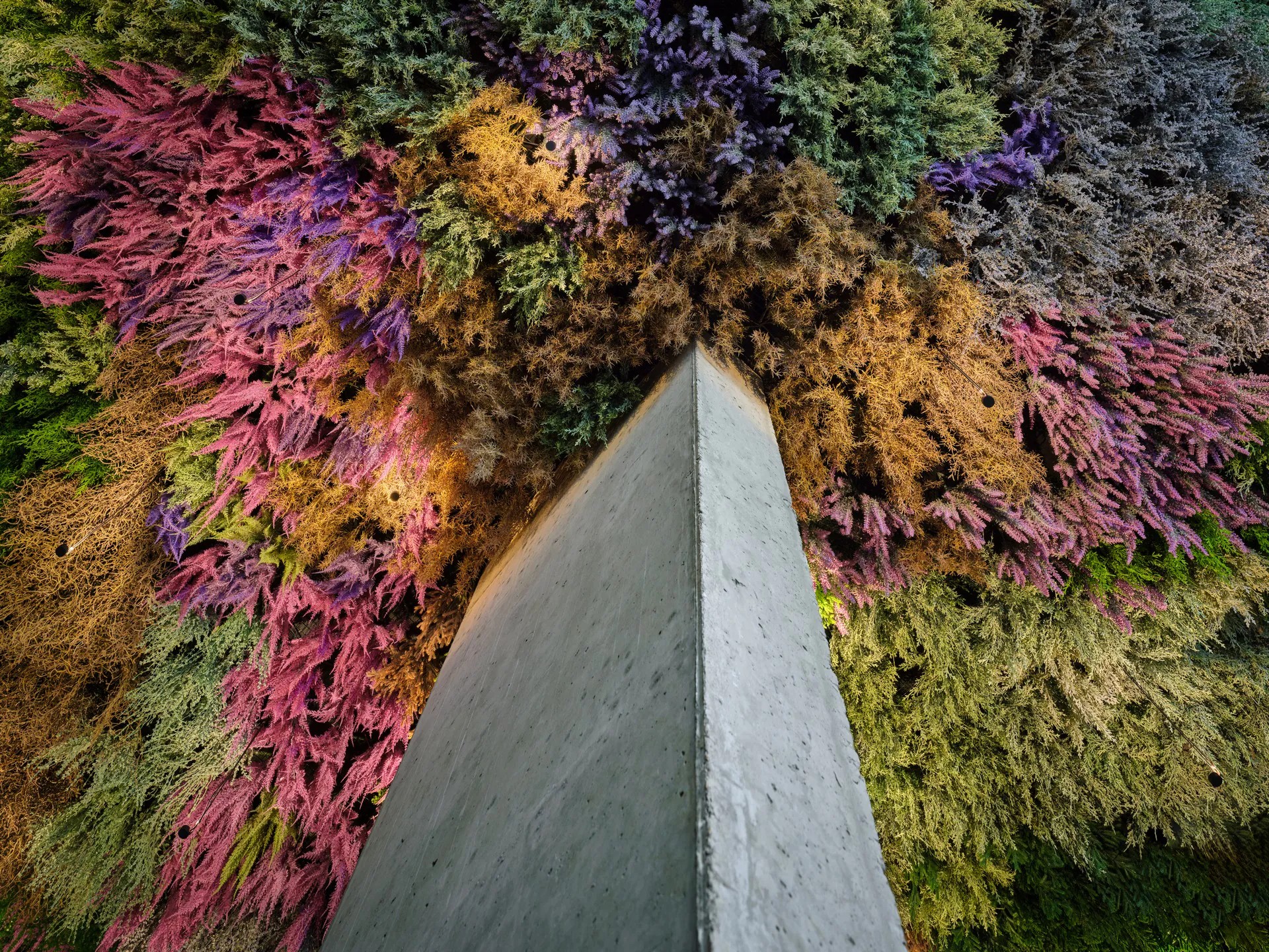 丨2020 architects studio-18