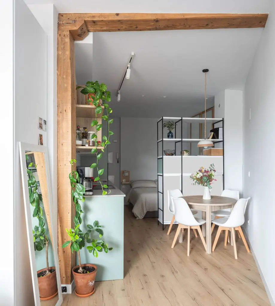 西班牙 37m2 海滨公寓的北欧风格改造-1