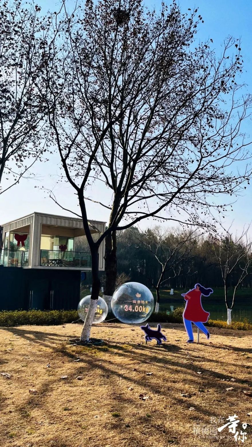 助力长三角生态绿色一体化发展|华建集团现代院原创设计嘉兴中央公园(嘉兴植物园)改造提升项目-42