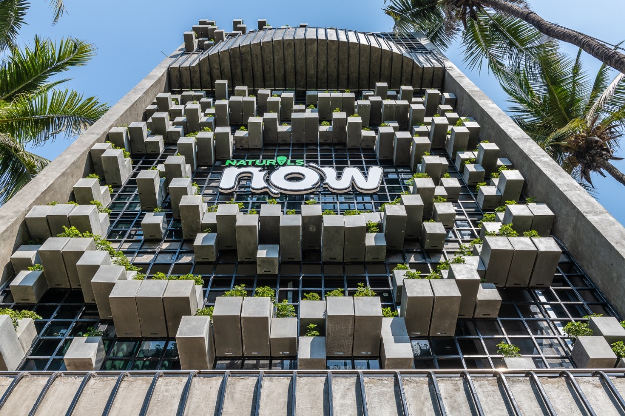 Naturals Now Shop / Drink Water Design Studio-22