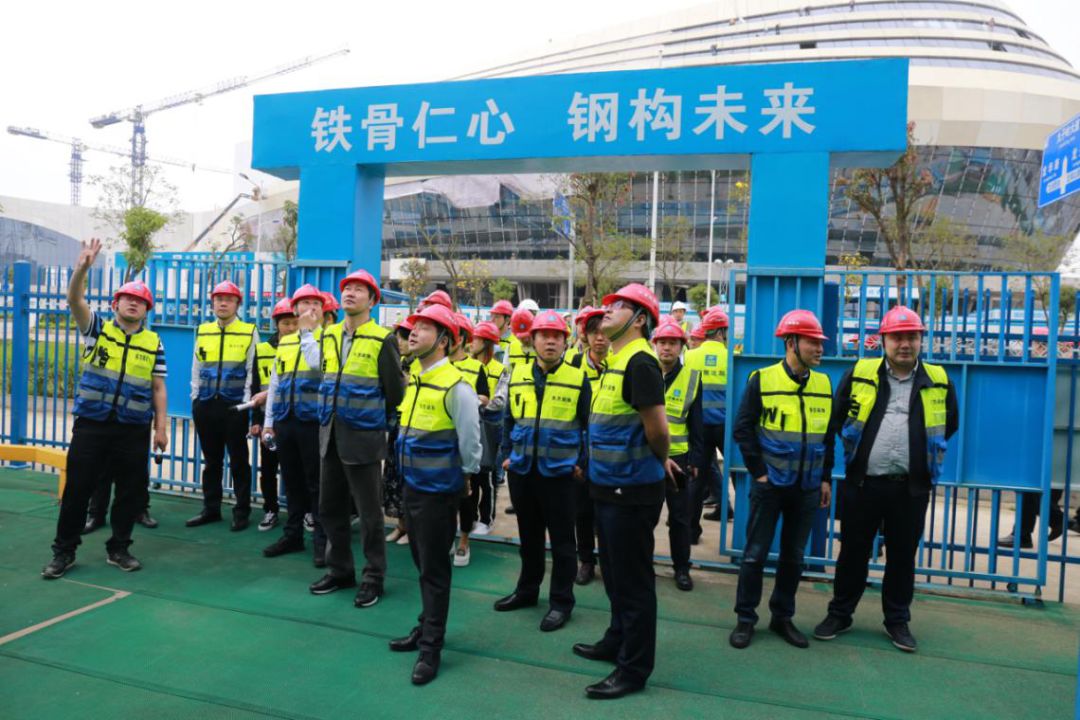 中国最大、最靓的“蝴蝶”惊现广西柳州！-23