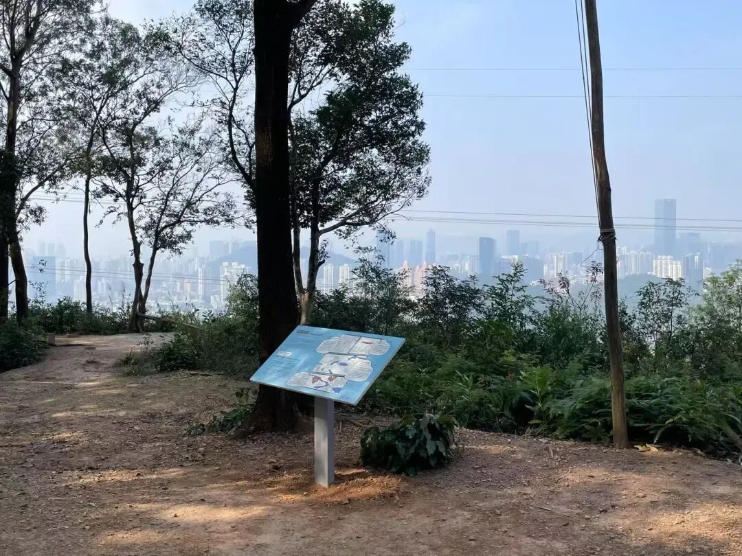 未名新作|山野有乾坤都市藏鲲鹏-深圳山海连城计划罗湖区东湖公园郊野径-莲塘口岸线-138