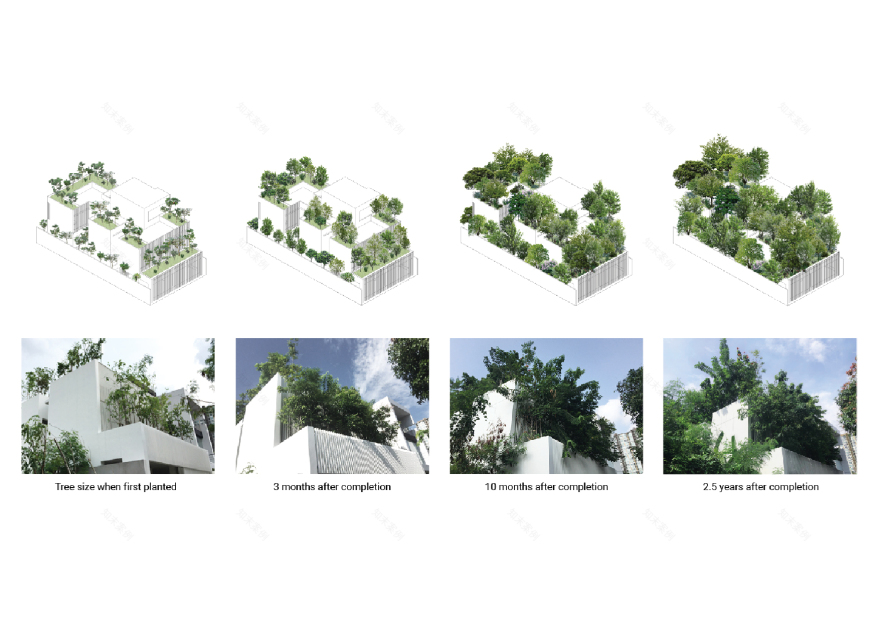 Forested House | Shma Company Limited-26