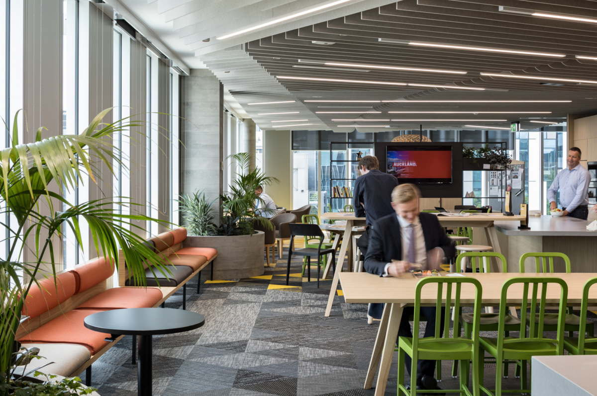 新西兰 Auckland Tourism 办公室,文化叙事与环保并重-15