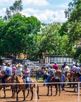Team Roping 室内设计案例