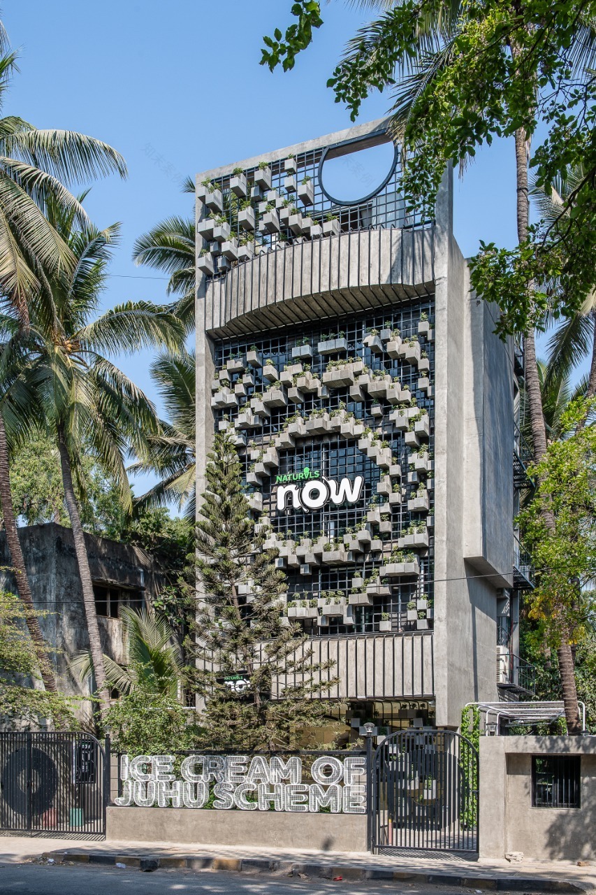 Naturals Now Shop / Drink Water Design Studio-26