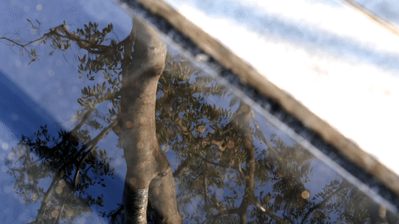 上海华发建发·缦云（示范区）丨中国上海丨深圳市派澜景观规划设计有限公司-28