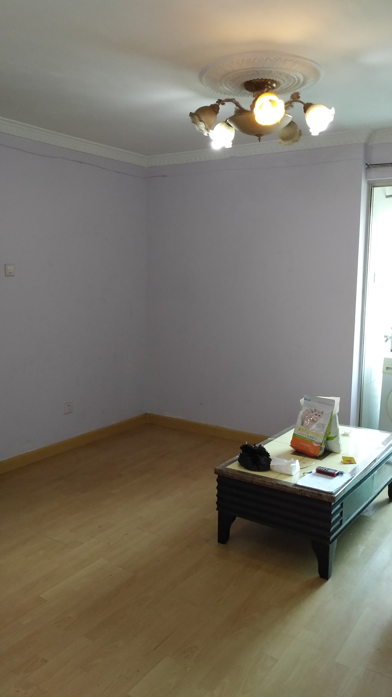 广州城市民宿改造青毡旧物丨中国广州-18