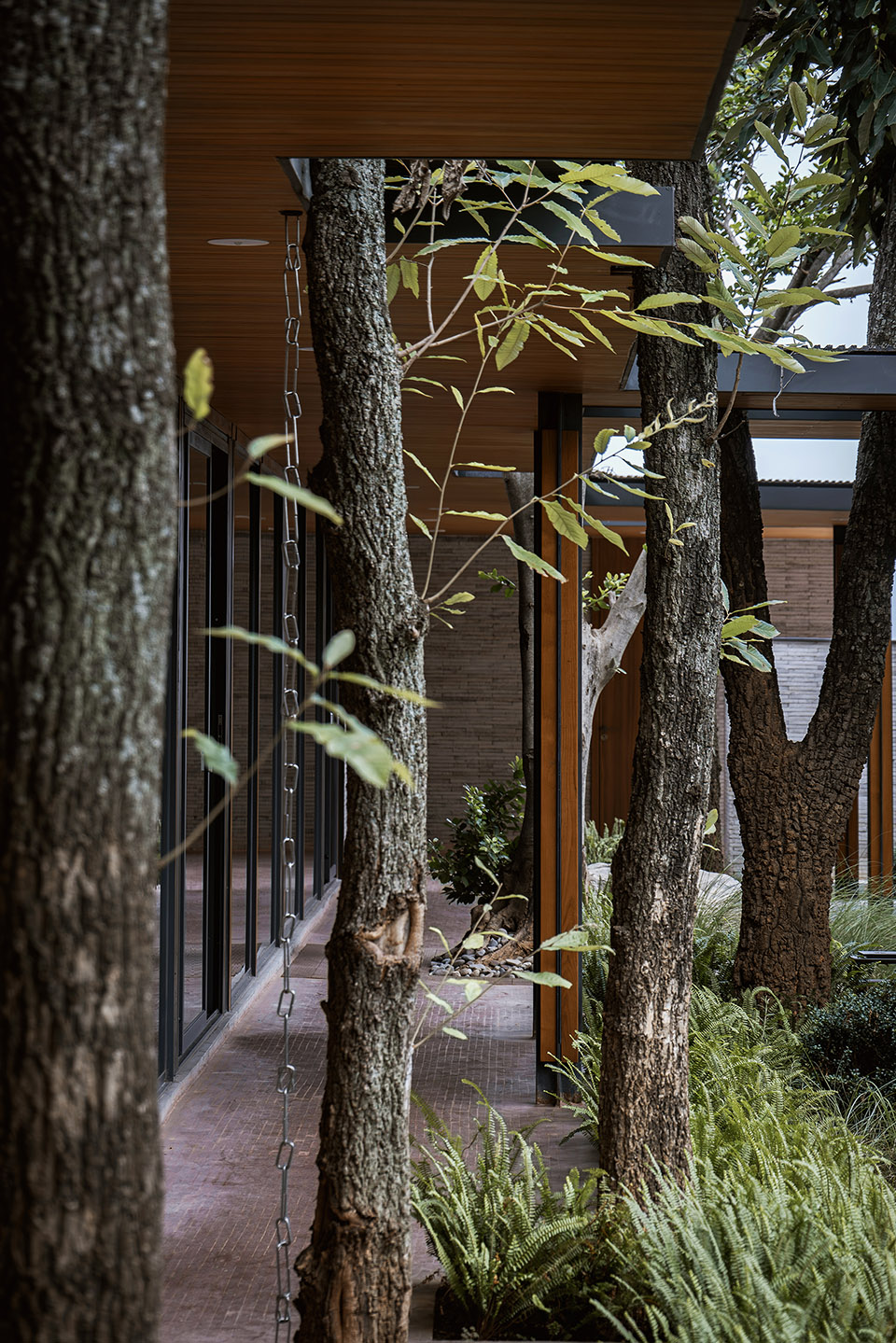 褚橙庄园生活中心丨中国玉溪丨素造建筑-43