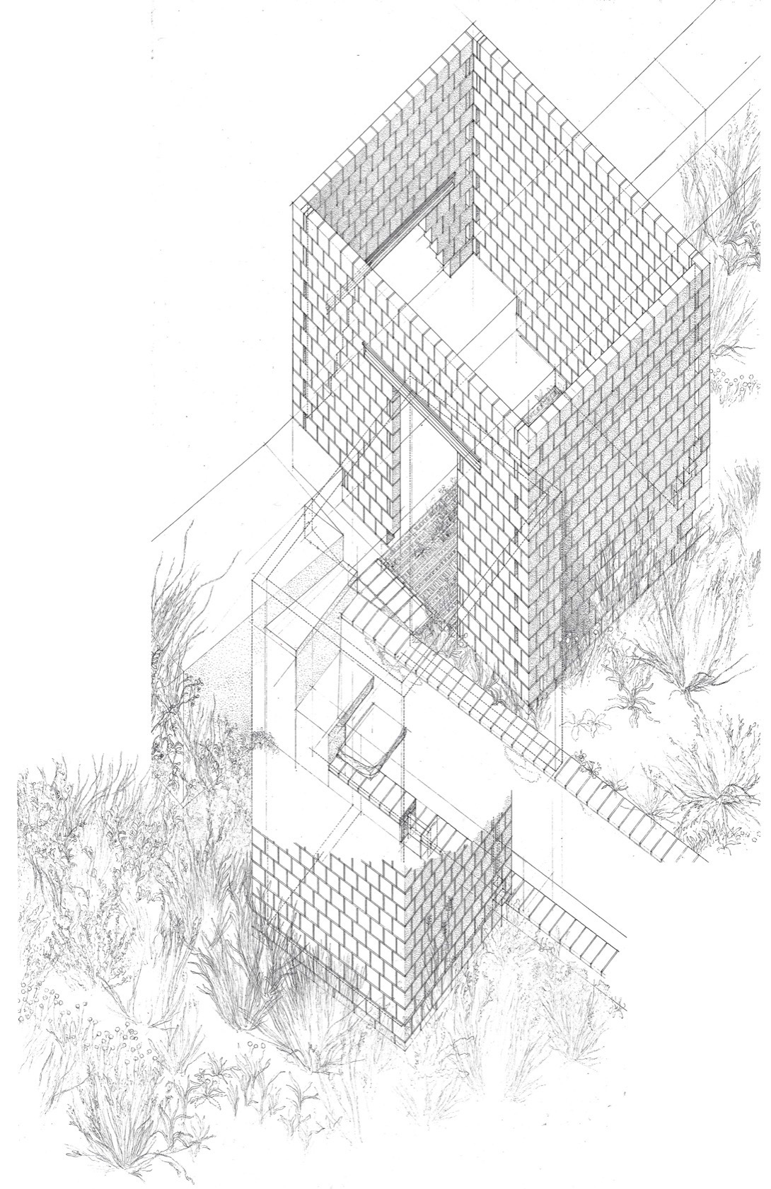 “隐秘围合”丨西班牙丨Alejandro Martínez del Río-44