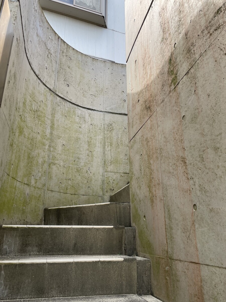 ひかりの子幼稚園　改装工事丨Abax Architects-10