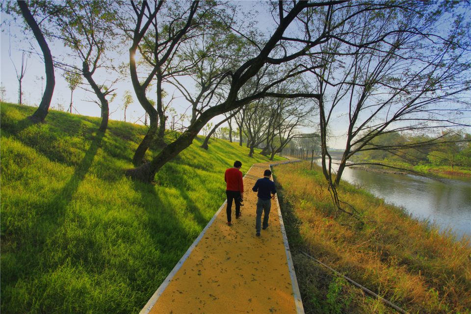 浙江浦阳江生态廊道 | 海绵城市设计与实践-28