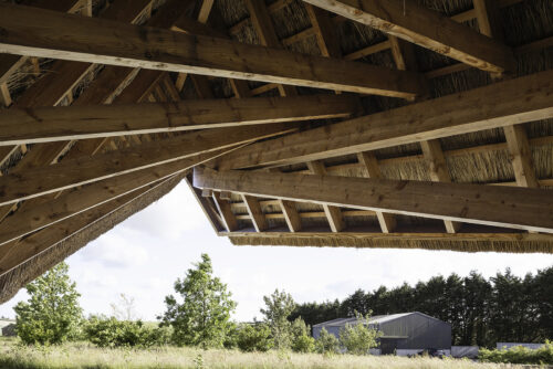 丨爱尔兰科克-53