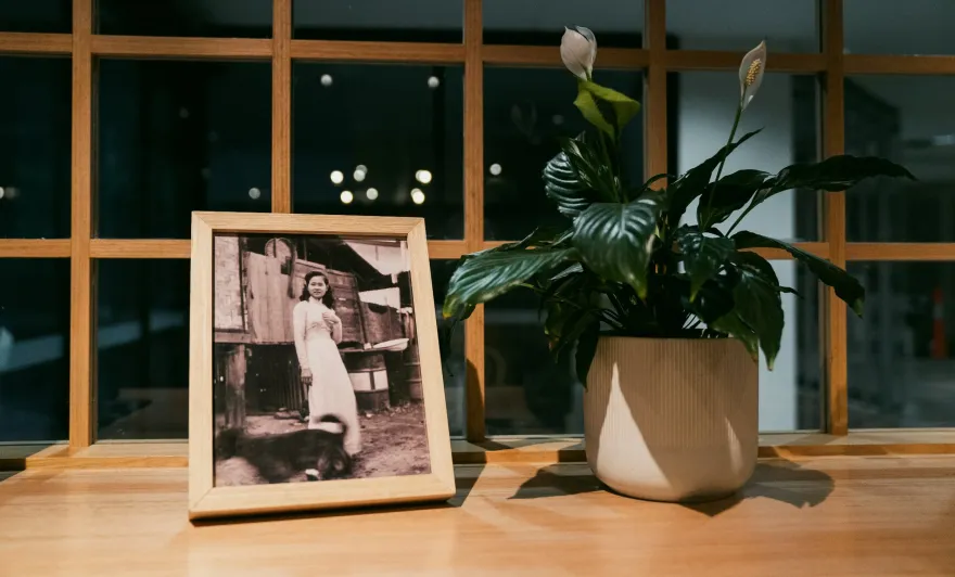 范小姐的堪培拉丨澳大利亚堪培拉丨BrandWorks-29