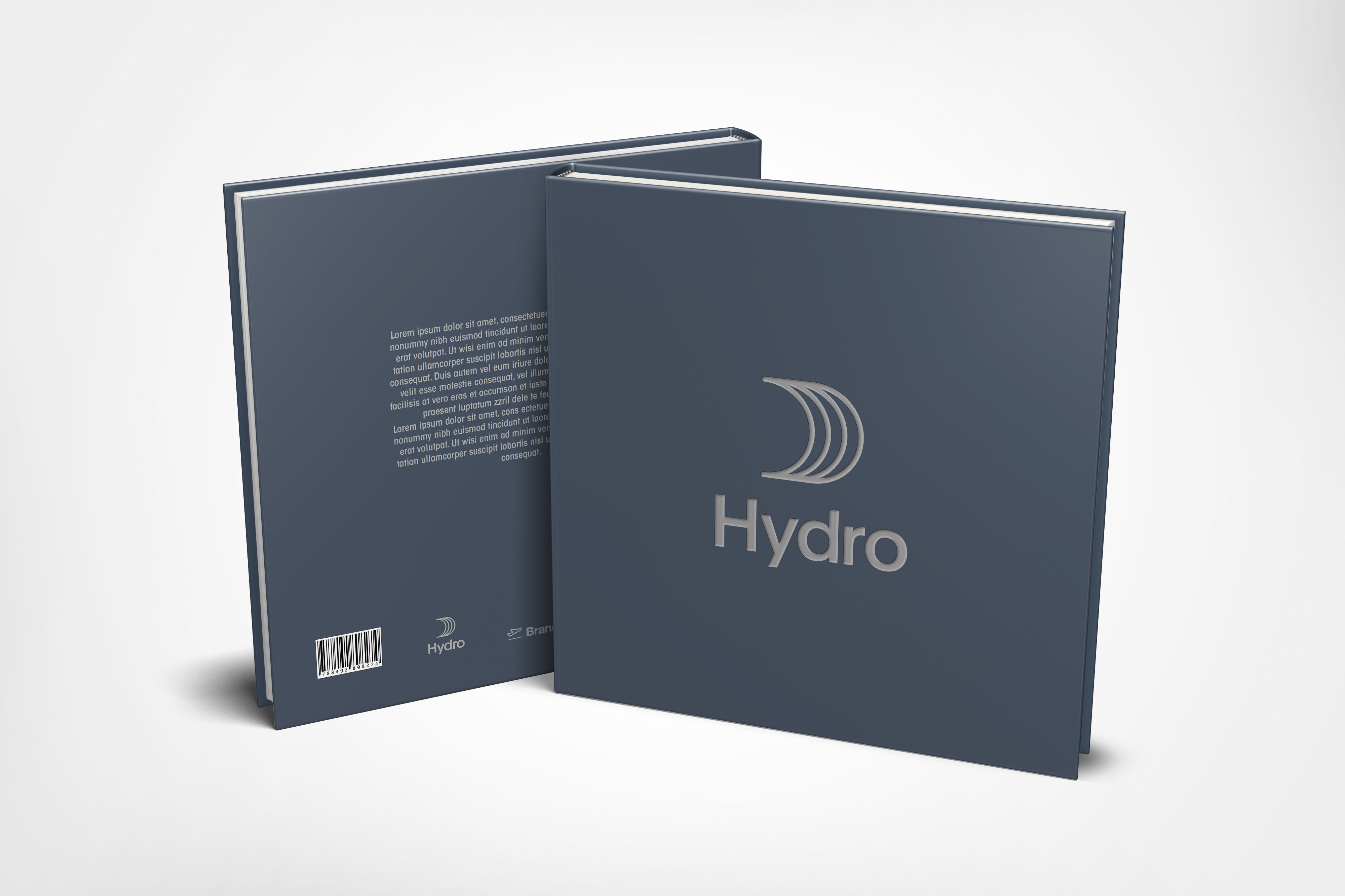 水电 20 年在阿根廷丨阿根廷丨Hydro-8