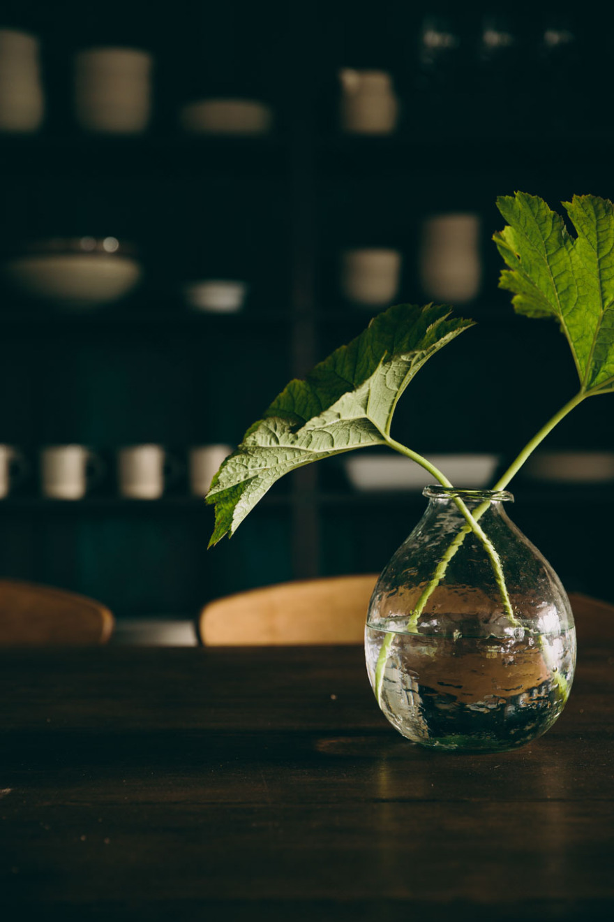 A COUNTRY HOME WITH A VIEW OF THE LAKES - PART I - Lobster and Swan-2