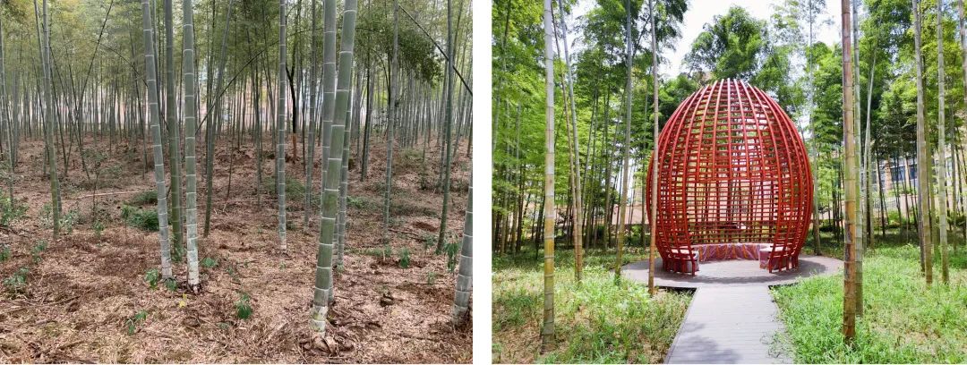 大溪滩香樟露营基地 | 中国美院风景建筑设计研究总院 | 中国浙江衢州-41