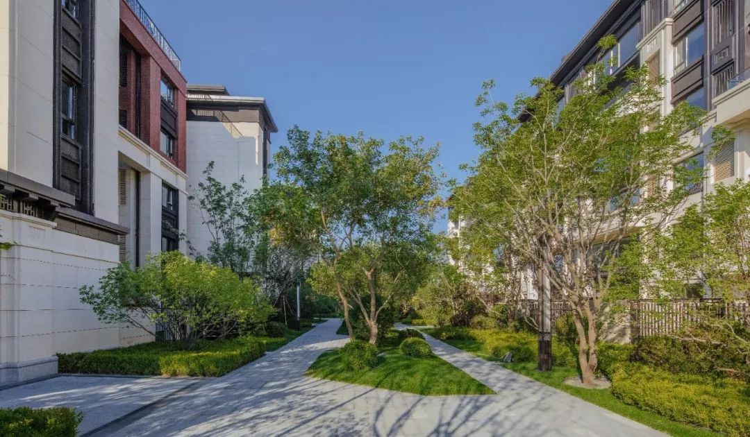 造天地气韵之龙墅,建人杰地灵之秀景 | 沈阳龙湖·双珑原著-212