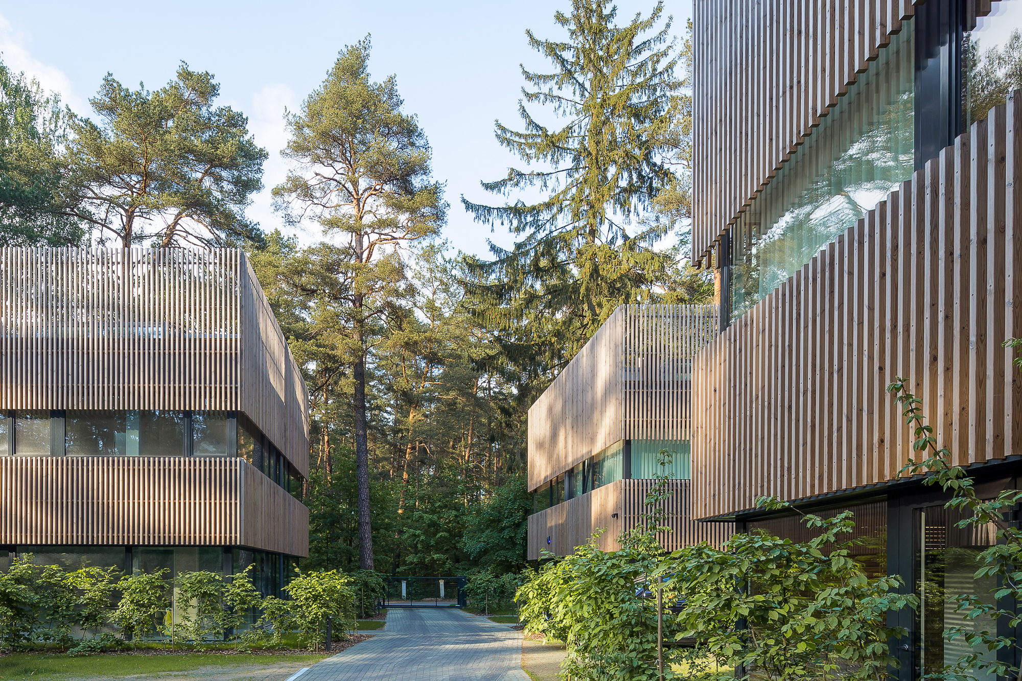 Residential Houses in the Pinewood Near Vilnius / Paleko architektu studija-23