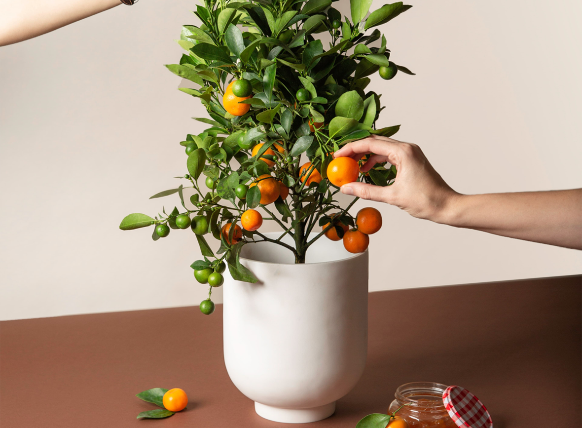 12 款独特的室内设计元素,让你的家充满节日气氛-18