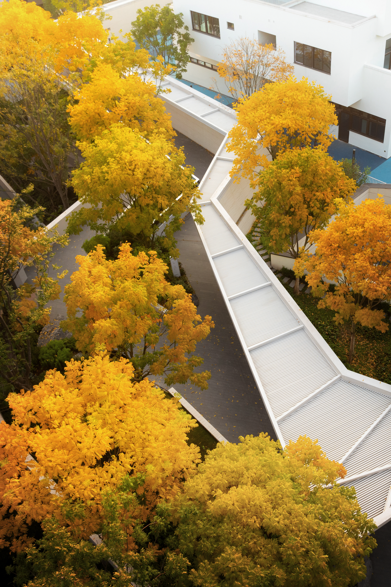 重庆麓悦江城碧影溪丨中国重庆丨WTD纬图设计等多家（含建筑,雕塑等设计方）-39