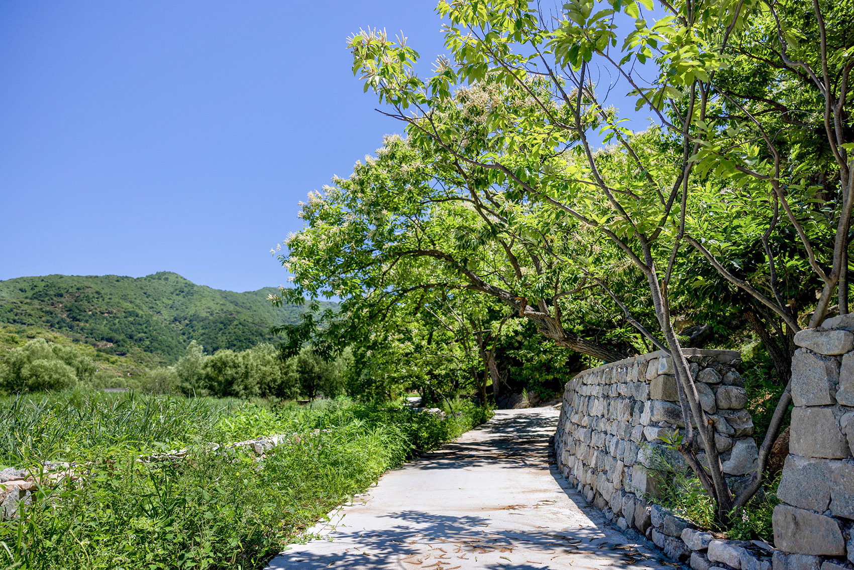 北京怀柔渤海镇栗花溪谷风景丨中国北京丨九源（北京）国际建筑顾问有限公司-52